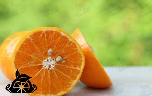 فروش رب نارنج